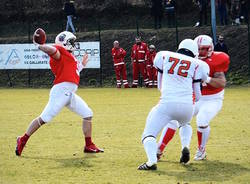 gorillas varese