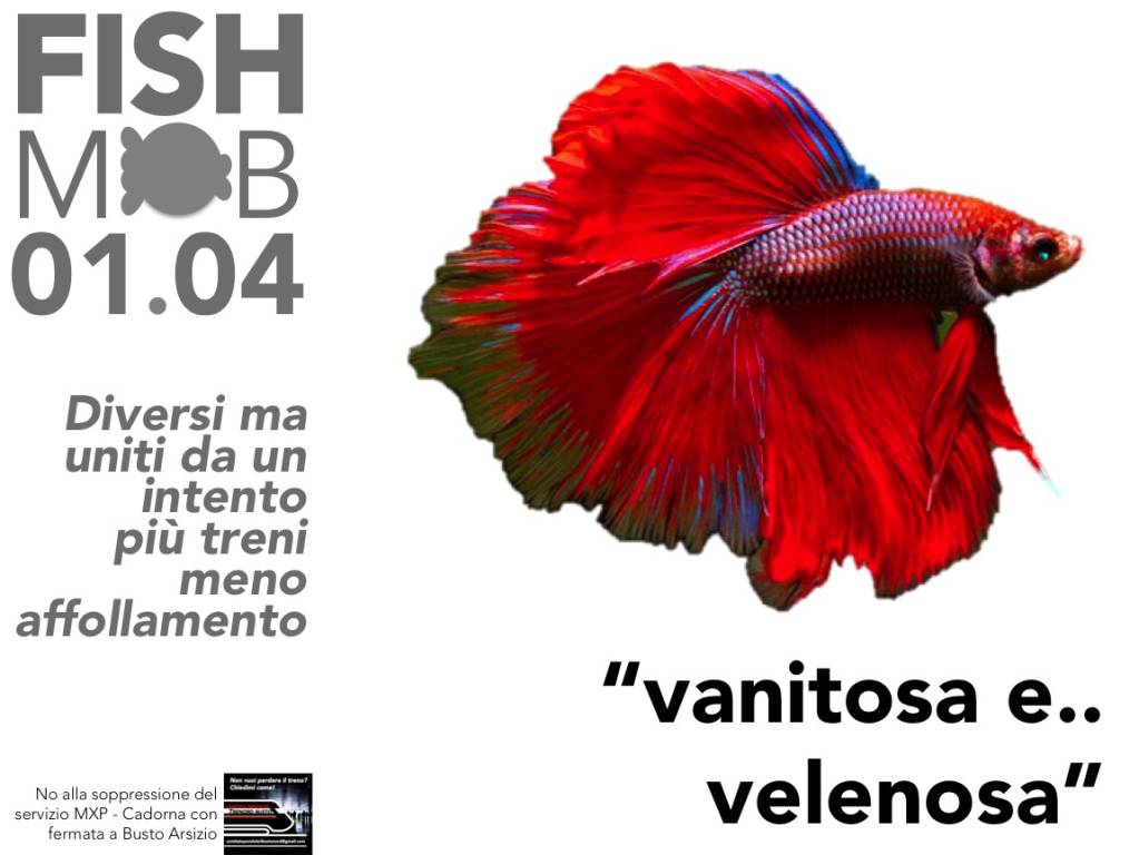 Il "Fish Mob" dei pendolari di Busto