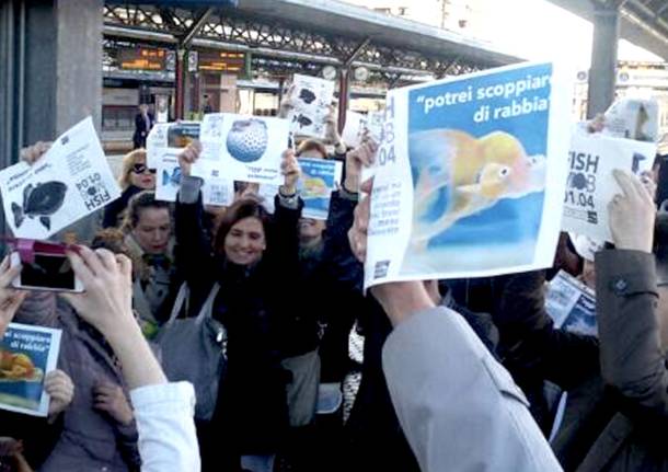 Il "Fish Mob" dei pendolari di Busto