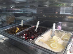 Il gelato vegano