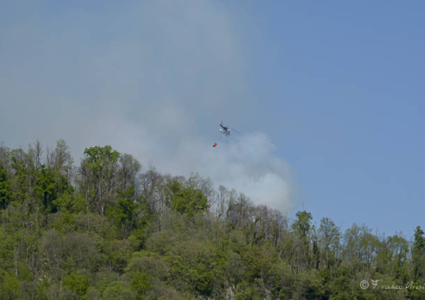 Incendio bosco Caravate Sangiano