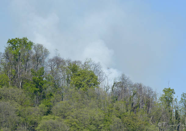 Incendio bosco Caravate Sangiano