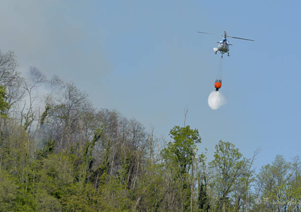 Incendio bosco Caravate Sangiano