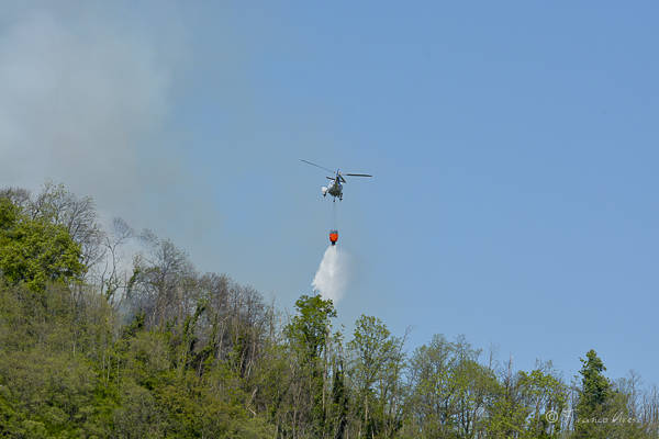 Incendio bosco Caravate Sangiano