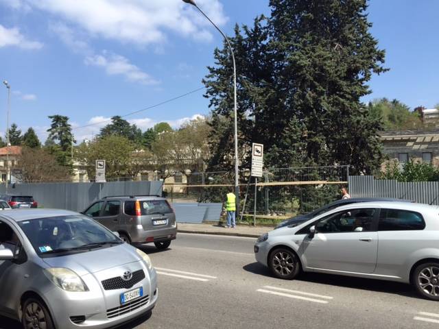 Malerba, primi lavori