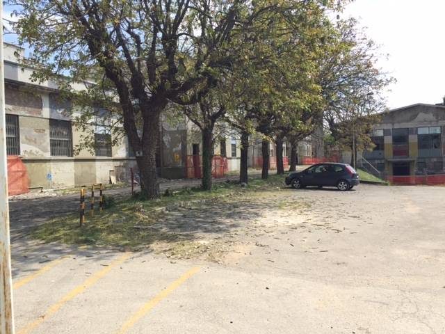 Malerba, primi lavori