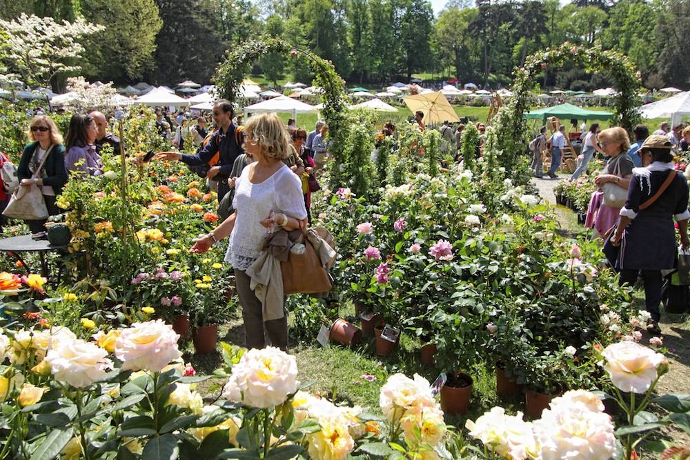 Mostra Fiori Castello di Masino 