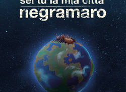 negramaro