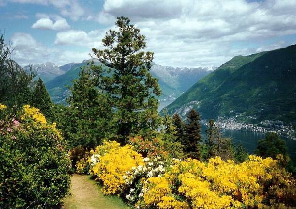 parco san grato lugano