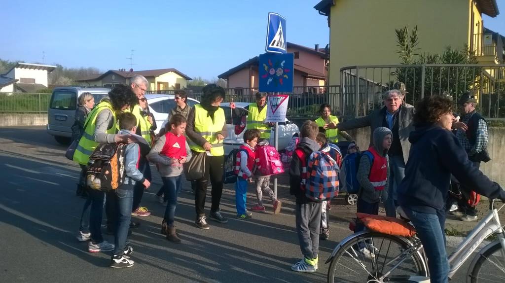 pedibus