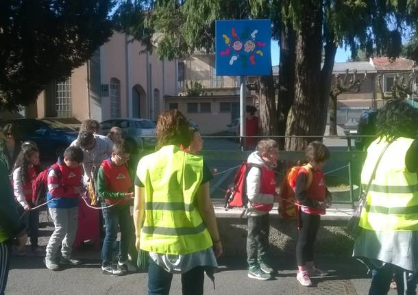 Successo per il pedibus albizzatese