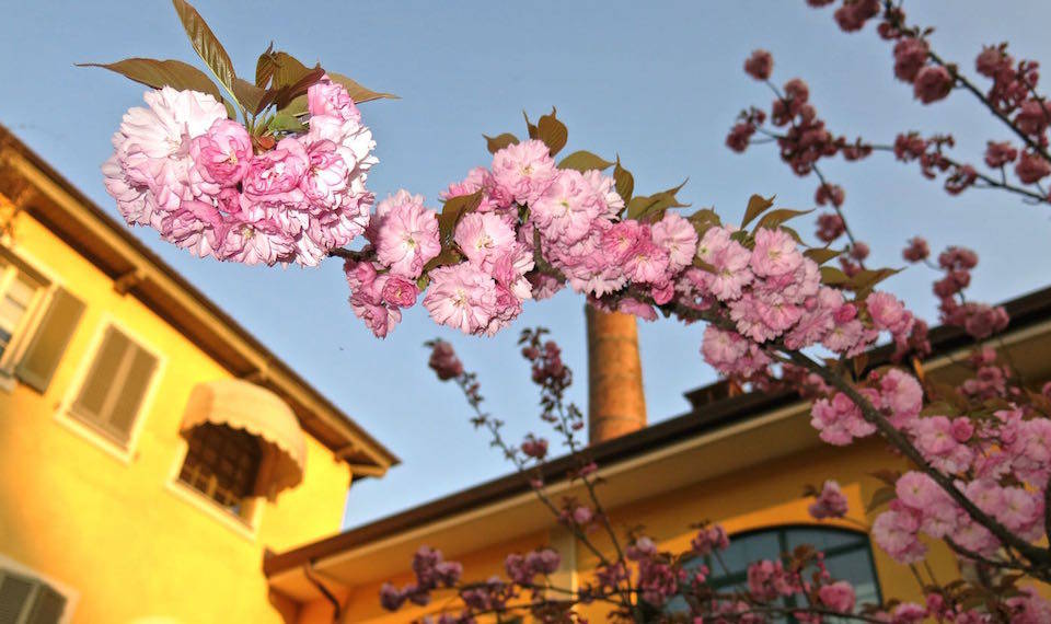 Primavera a Busto Arsizio
