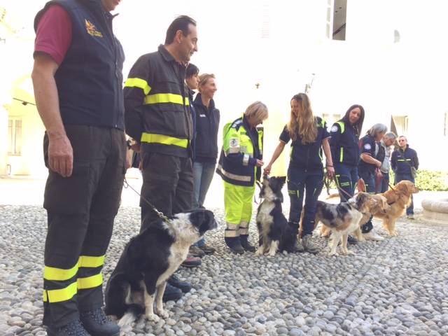 protezione civile unità cinofile e vigili del fuoco