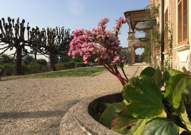 Quattro passi a Villa Mylius