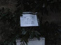 Rifiuti abbandonati a Varese