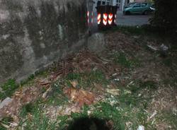 Rifiuti abbandonati a Varese