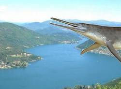 valceresio 