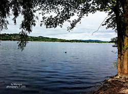 Varese, lago, lago di Varese