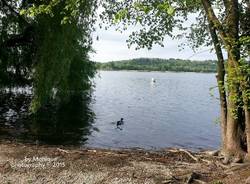 Varese, lago, lago di Varese