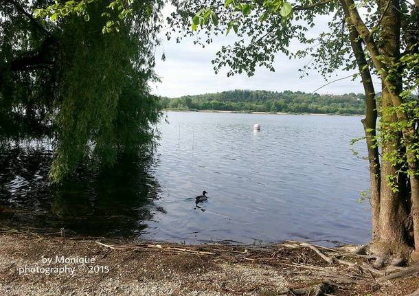 Varese, lago, lago di Varese