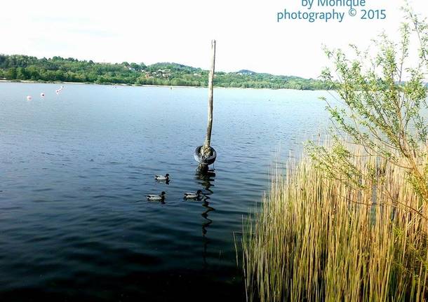 Il lago in primavera