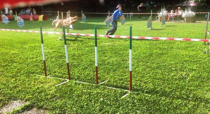 3sg camelot gallarate 