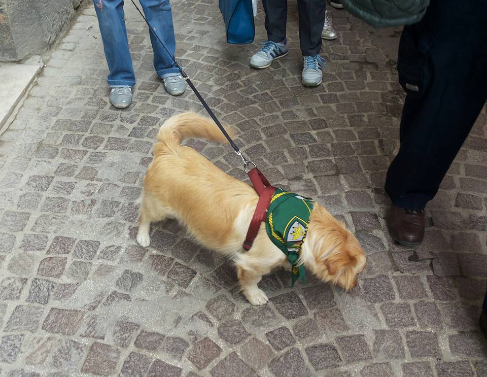 Alpini, il folklore dell'adunata di L'Aquila
