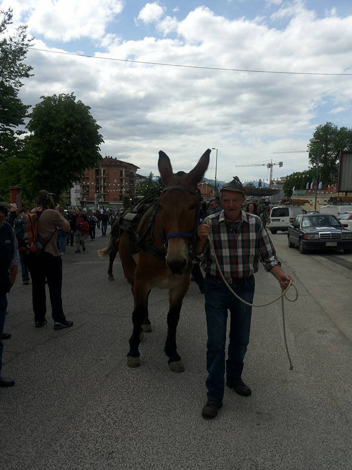 Alpini, il folklore dell'adunata di L'Aquila
