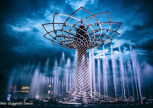 L’albero della vita