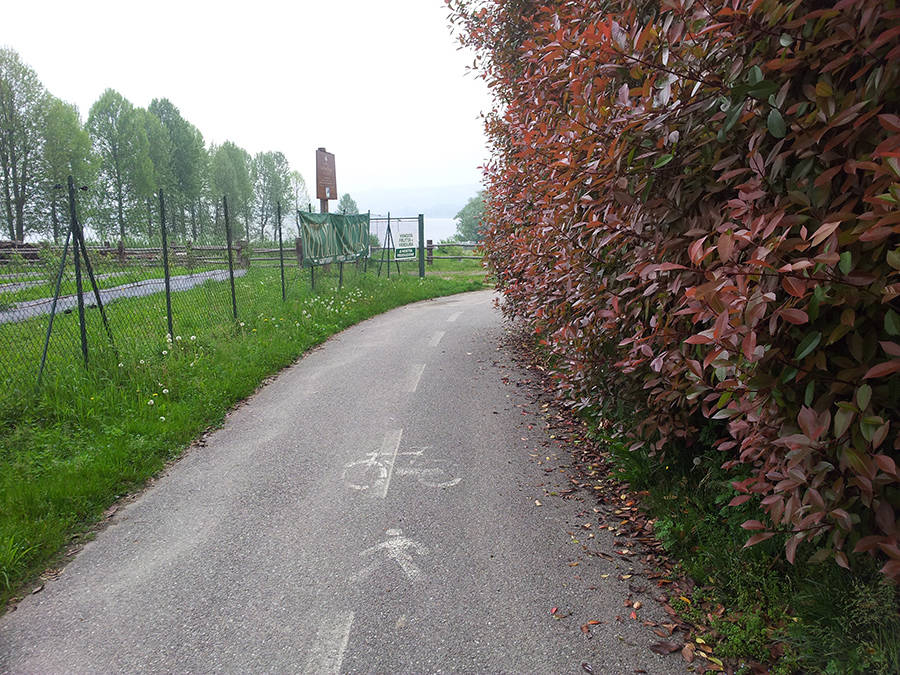 ...e un po\' di manutenzione sulla pista ciclabile?