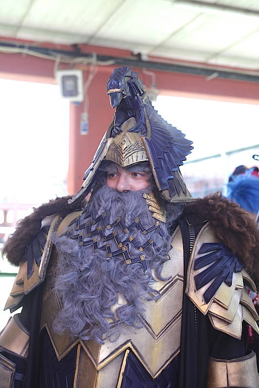 Cosplay a MalpensaFiere - 2