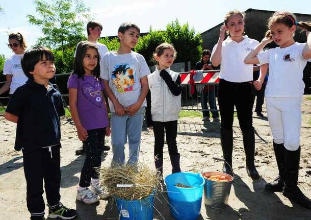 SOCIETA’ AGRICOLA LA STELLA: RIABILITAZIONE EQUESTRE MAGGIO 2015