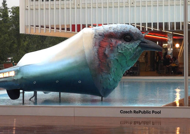 Expo: quante curiosità