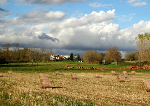 Foto del giorno Maggio 2015
