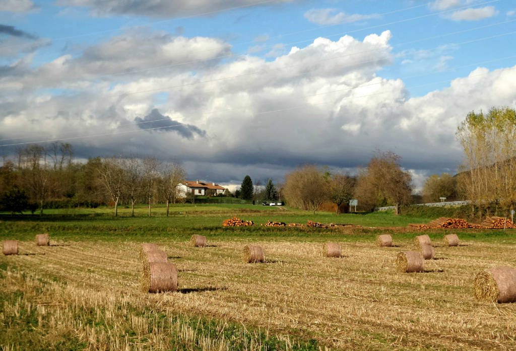 Foto del giorno Maggio 2015