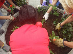 Guerrilla Gardening a Samarate