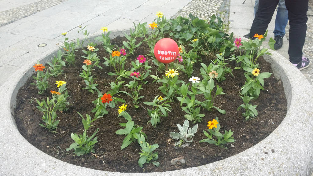 Guerrilla Gardening a Samarate