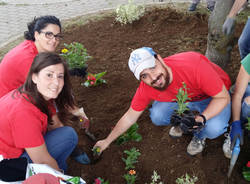 Guerrilla Gardening a Samarate