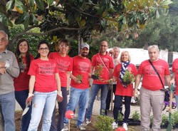 Guerrilla Gardening a Samarate