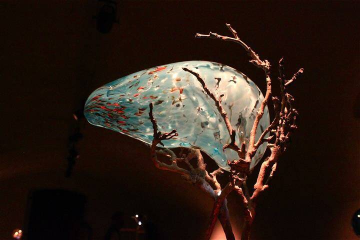 IMG 5606