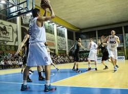 imo basket robur saronno