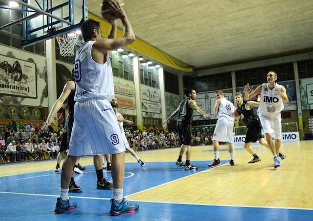 imo basket robur saronno