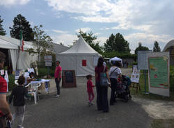 inaugurazione schiranna in festa 2015