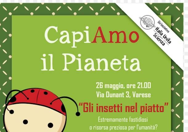 insetti come cibo