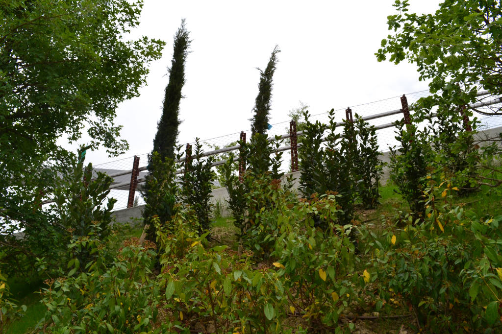 La collina mediterranea