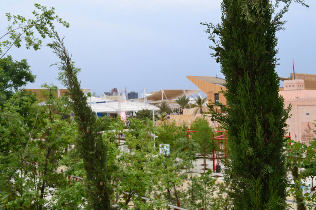La collina mediterranea