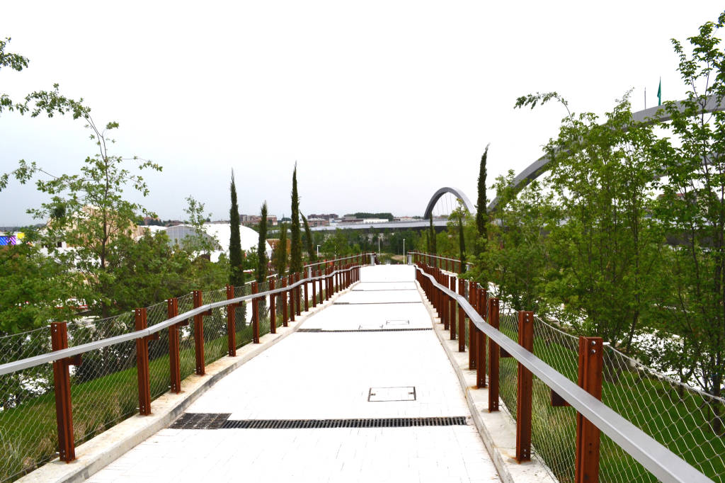 La collina mediterranea