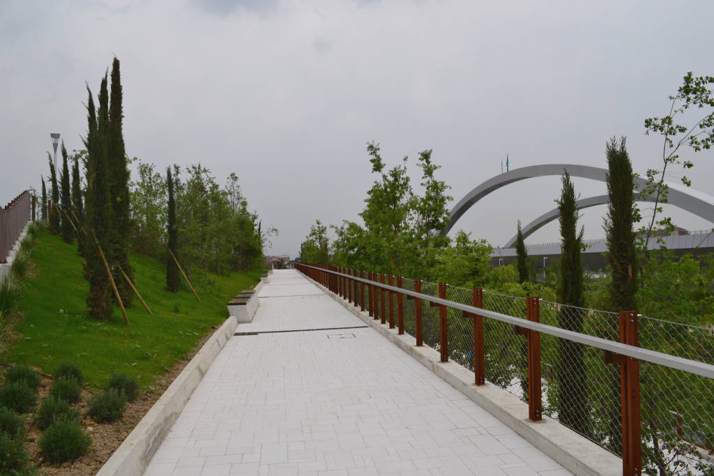 La collina mediterranea