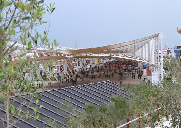 La collina mediterranea