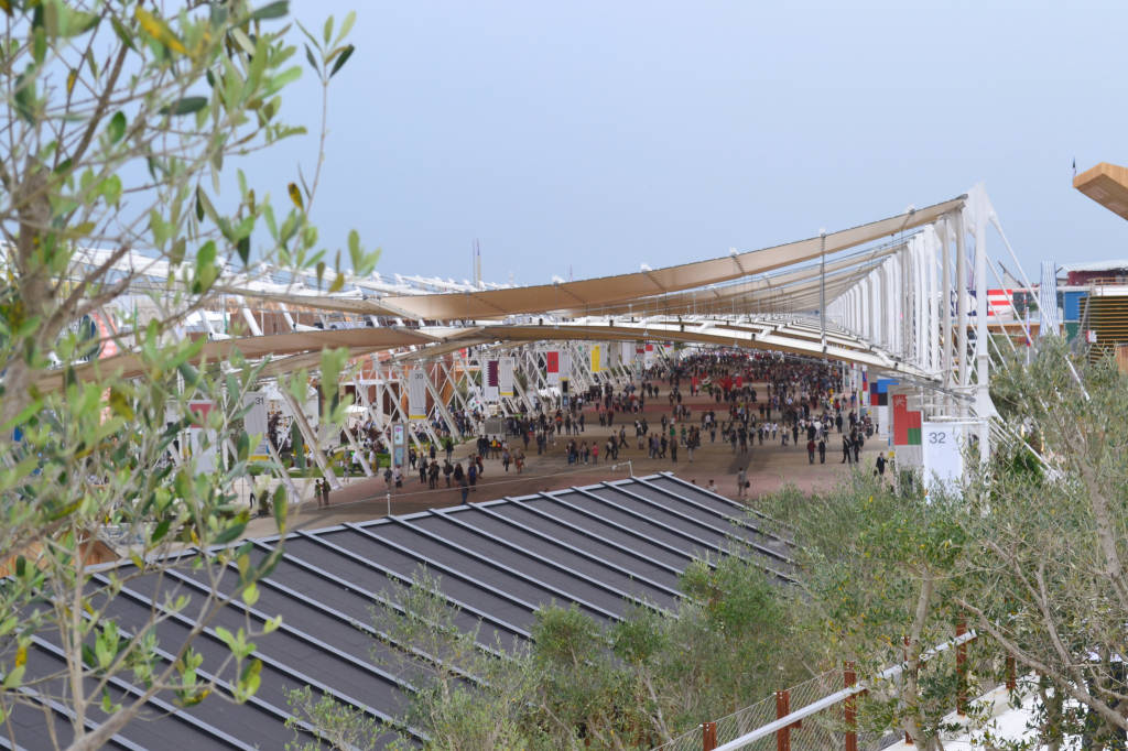 La collina mediterranea